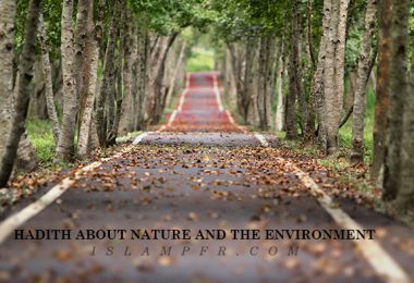 Hadith about nature and the environment